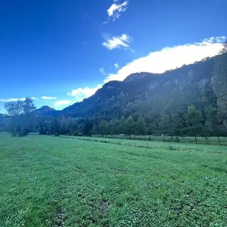 Vogelhaus Casa de Férias *